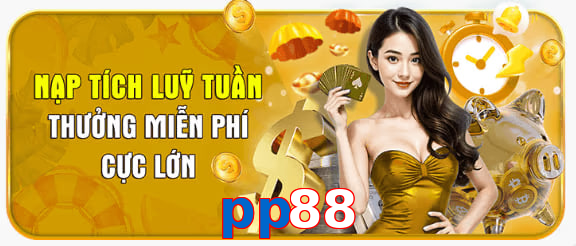 pp88